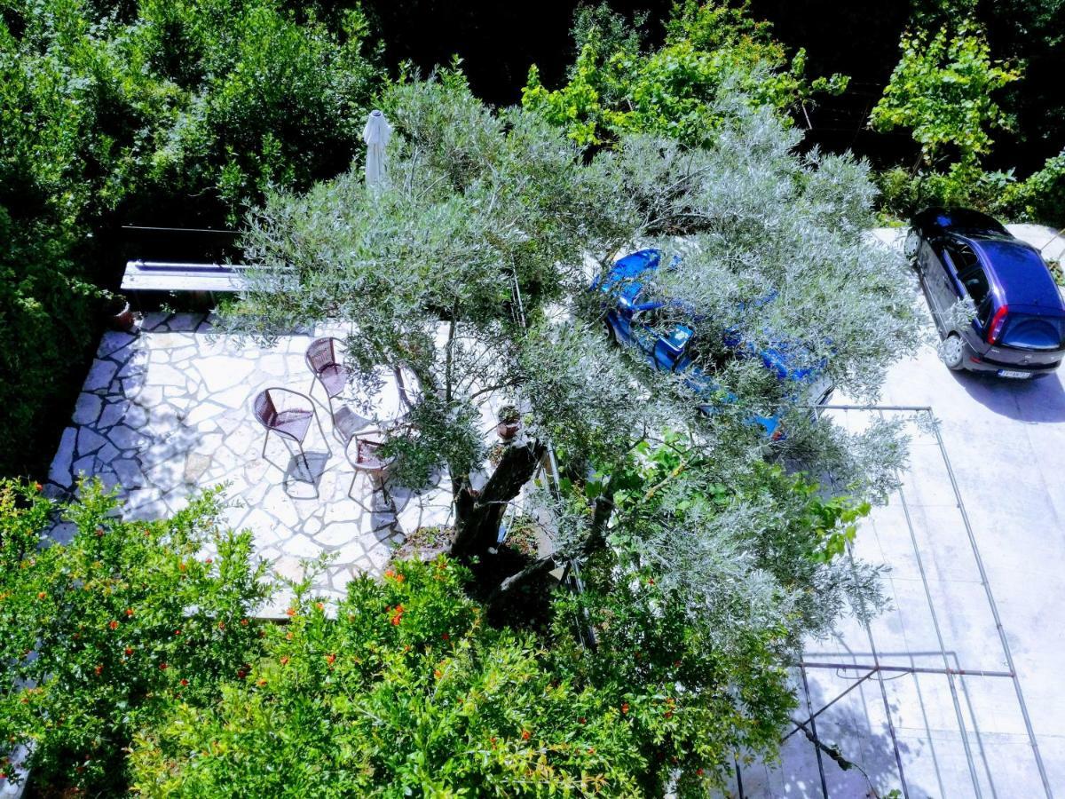 Milosavljevic Apartments Tivat Extérieur photo